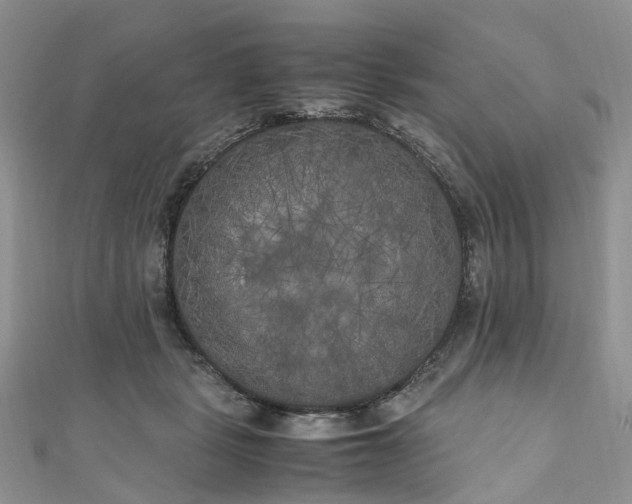 X0000111010461200906261523