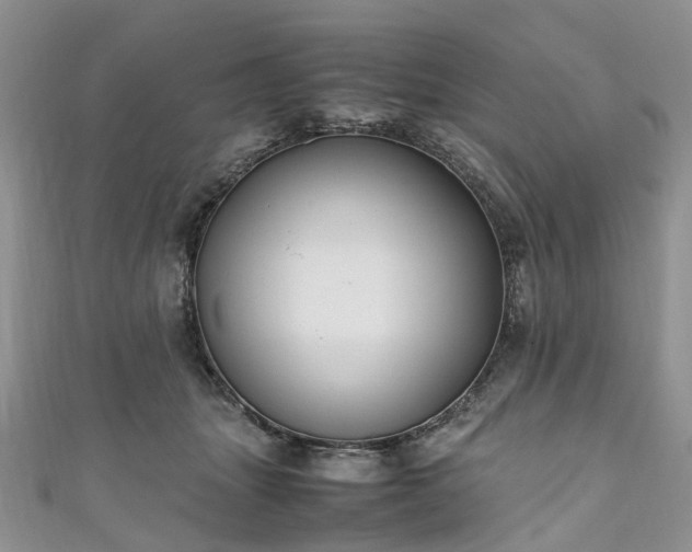 X0000111010463200906261523