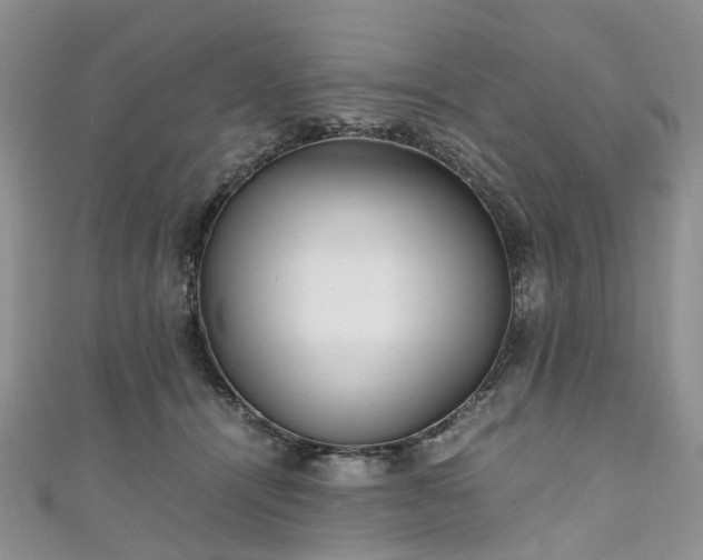X0000111010464200906261523