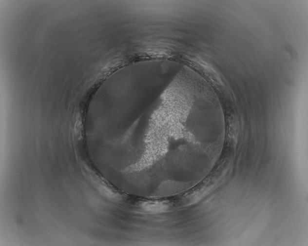 X0000111010465200906261523