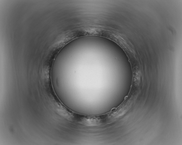 X0000111010466200906261523