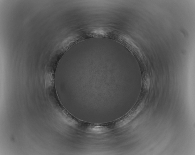X0000111010467200906261523