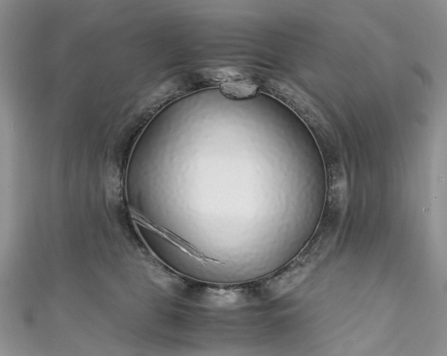 X0000111010469200906261523