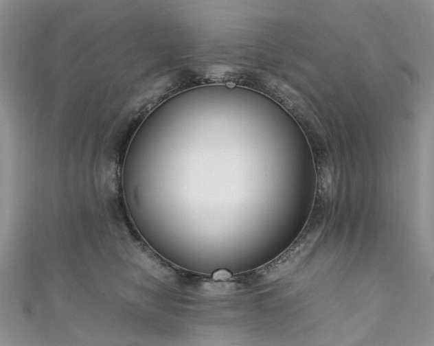 X0000111010470200906261523