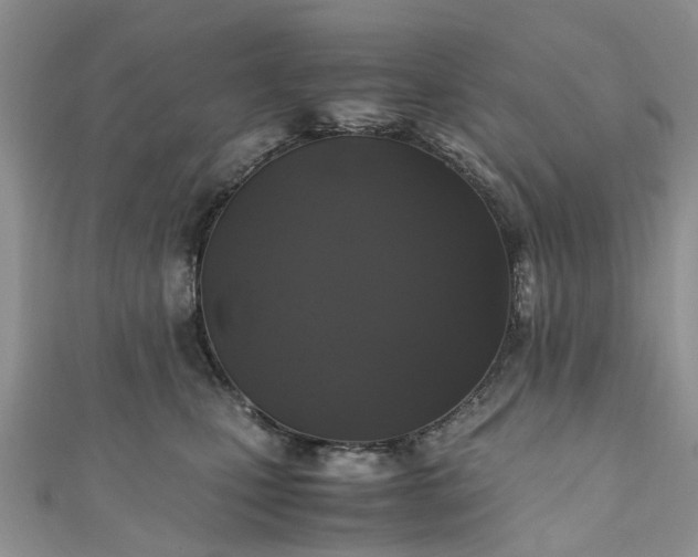 X0000111010471200906261523