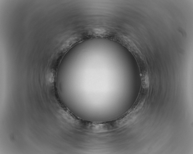 X0000111010472200906261523