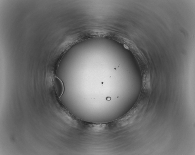 X0000111010474200906261523
