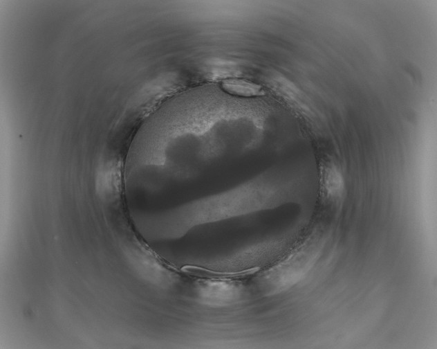 X0000111010475200906261523