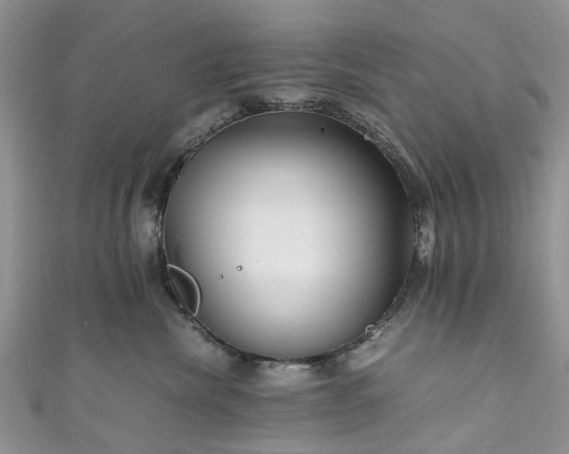 X0000111010476200906261523