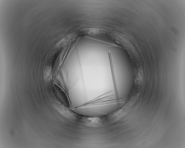 X0000111010478200906261523