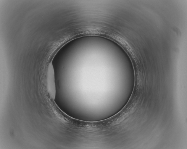 X0000111010481200906261522