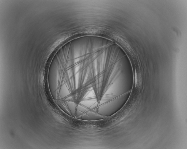 X0000111010483200906261522
