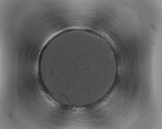 X0000111010484200906261522