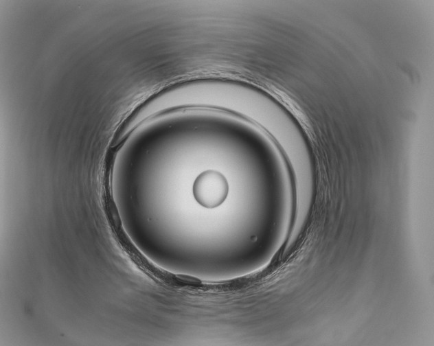 X0000111010485200906261522