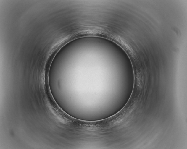 X0000111010486200906261522