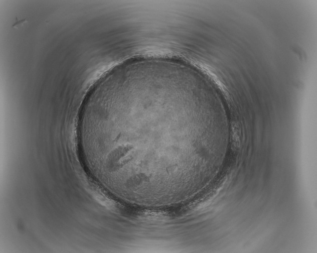 X0000111010487200906261522