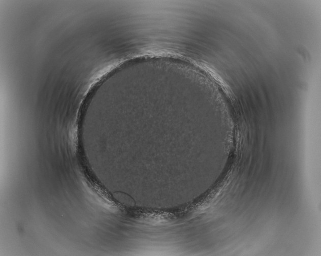 X0000111010488200906261522