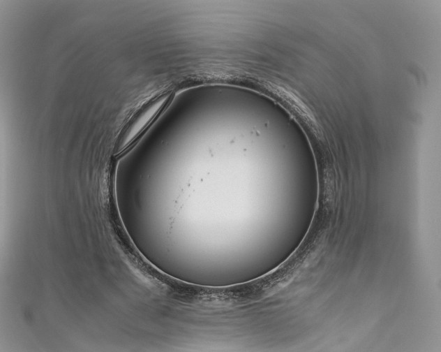 X0000111010489200906261522