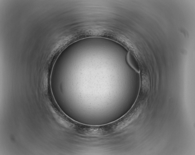 X0000111010493200906261522
