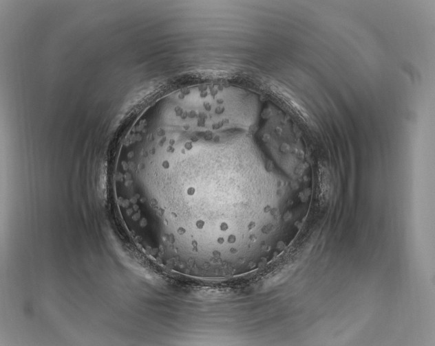 X0000111010494200906261522