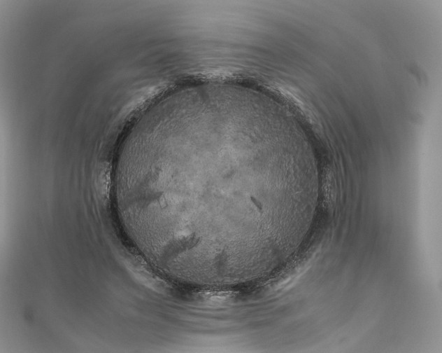 X0000111010495200906261522