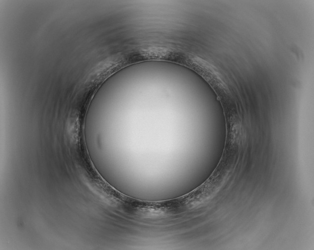 X0000111010498200906261522