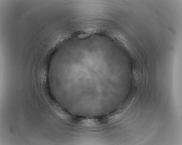 X0000111010499200906261522