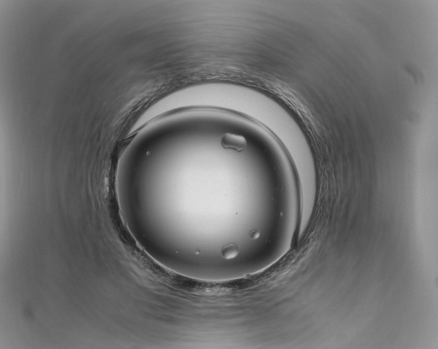 X0000111010501200906261522
