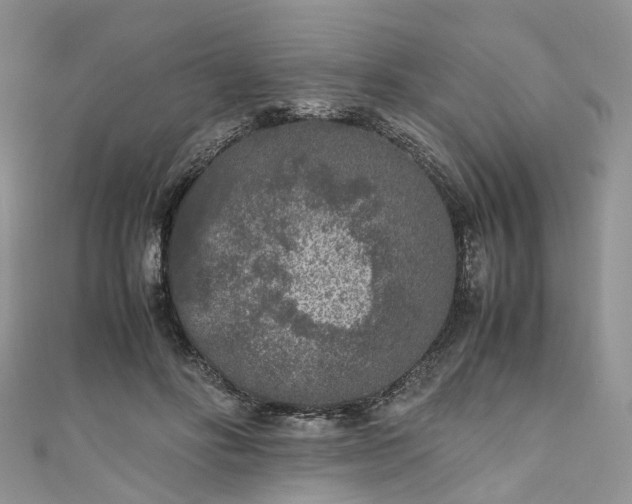 X0000111010502200906261522