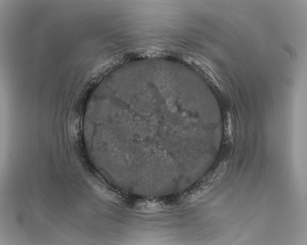 X0000111010503200906261522