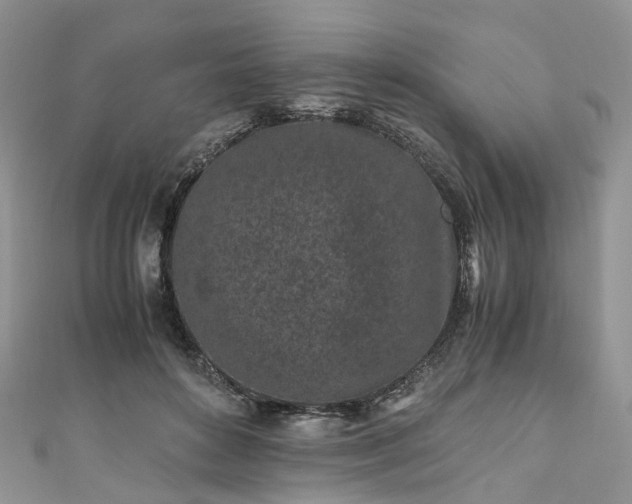 X0000111010504200906261522