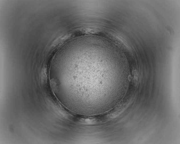 X0000111010506200906261522