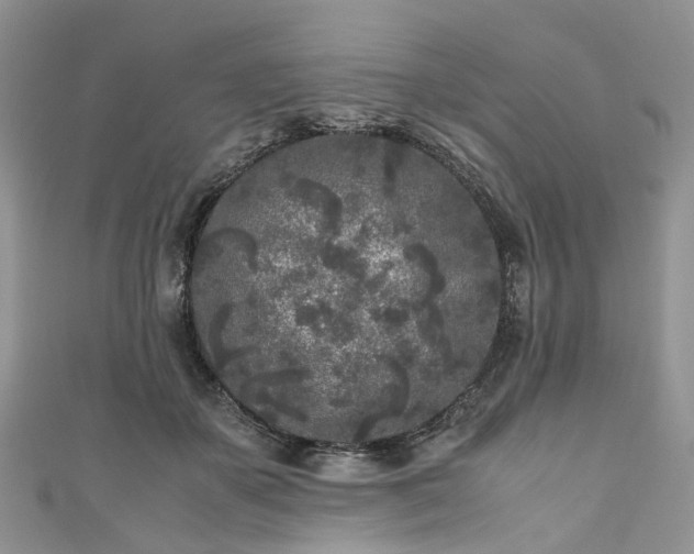 X0000111010507200906261522