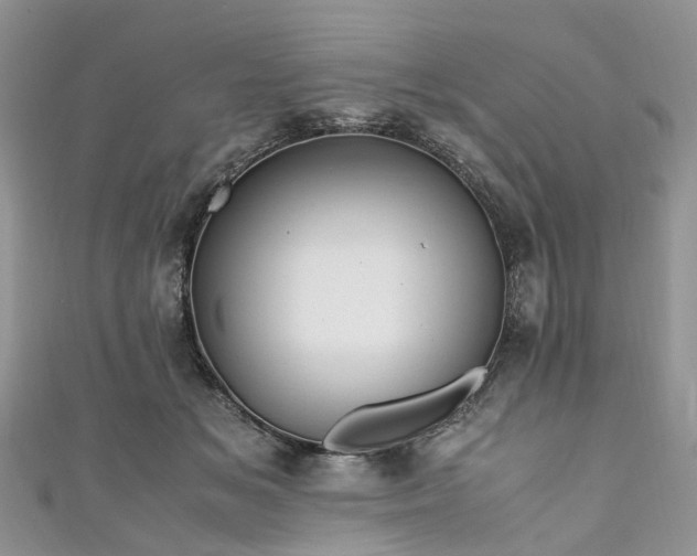X0000111010509200906261522