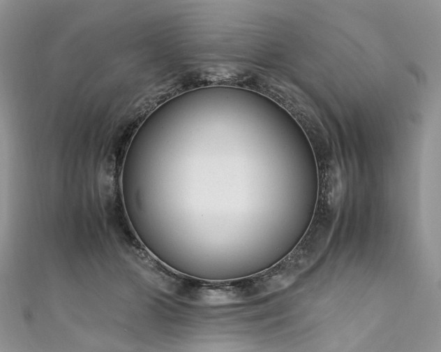 X0000111010510200906261522