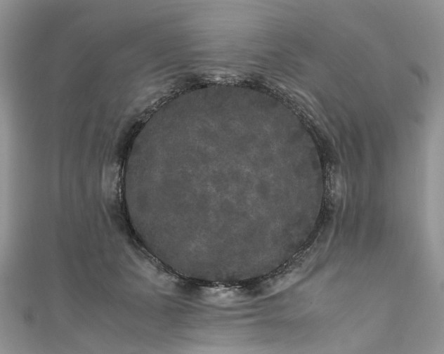 X0000111010511200906261522