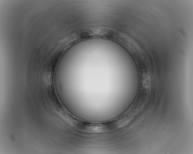 X0000111010514200906261522