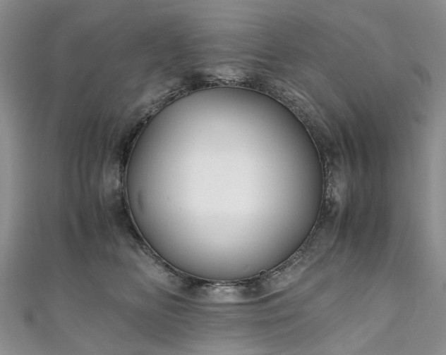 X0000111010518200906261522