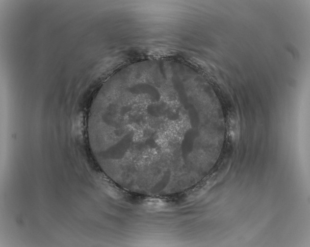 X0000111010519200906261522