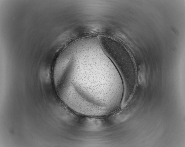 X0000111010520200906261522