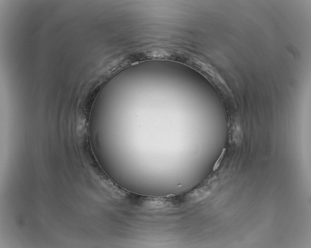 X0000111010521200906261522