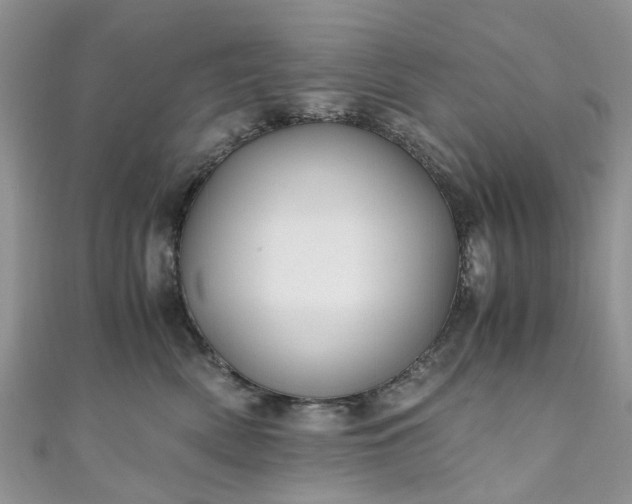 X0000111010522200906261522