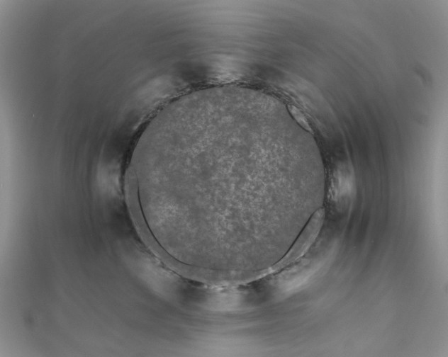 X0000111010524200906261522
