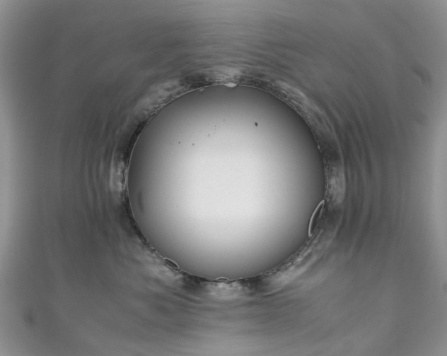 X0000111010525200906261522