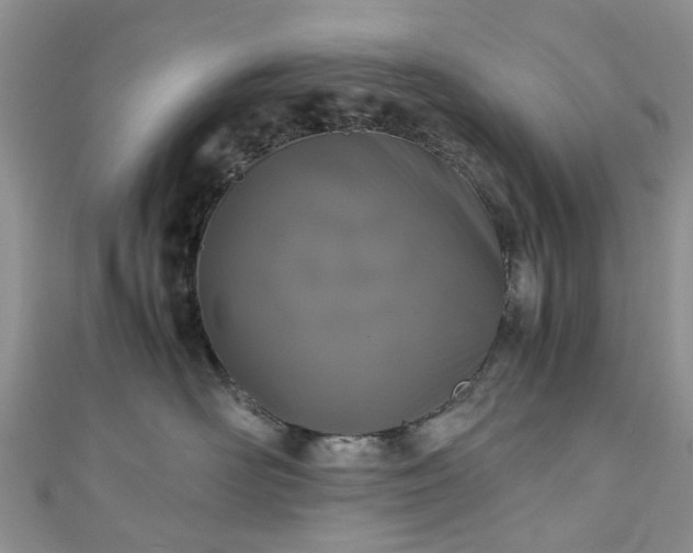 X0000111010526200906261522
