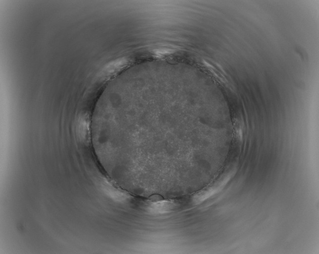 X0000111010527200906261522