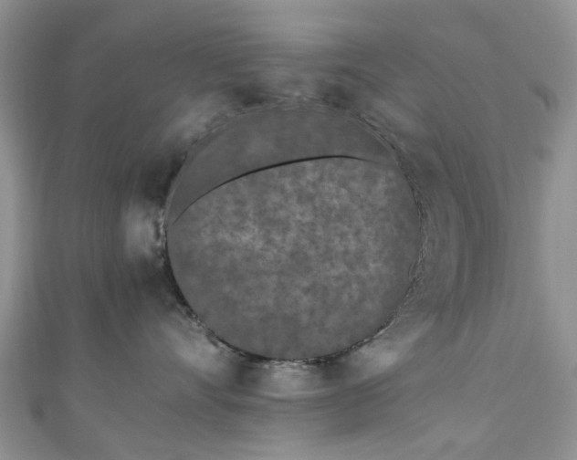 X0000111010528200906261522