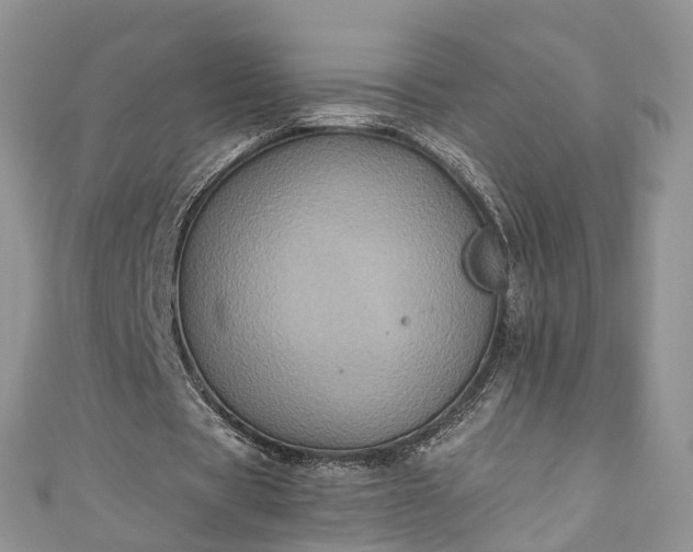 X0000111010529200906261521