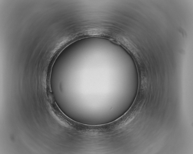 X0000111010530200906261521