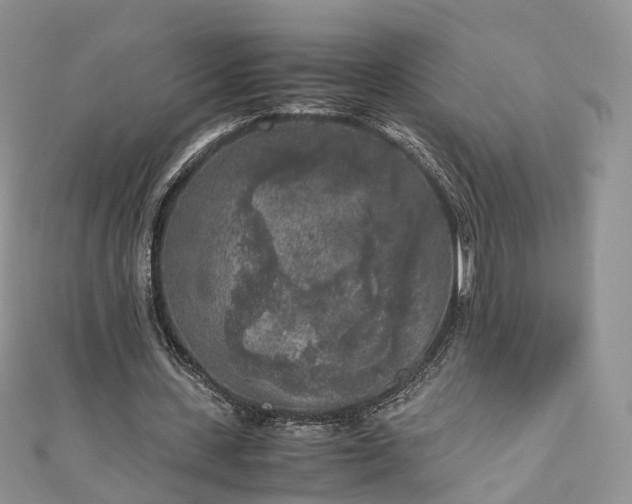 X0000111010531200906261521